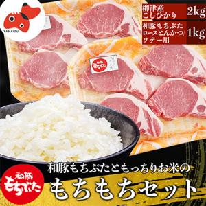 ふるさと納税 柳津町 【幸せ食感】奥会津産こしひかり「かいちょう米」と、和豚もち豚の「もちもちセット...