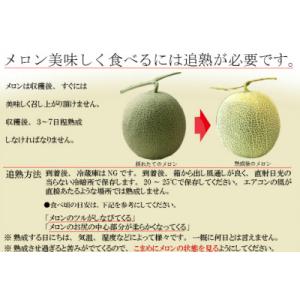 ふるさと納税 富良野市 2026年【発送月固定...の詳細画像2