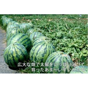 ふるさと納税 富良野市 2026年【発送月固定...の詳細画像3