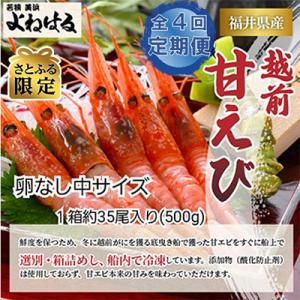 ふるさと納税 美浜町 【3ヵ月毎定期便】【さとふる限定】大好評!越前甘エビ【卵なし中サイズ】約35尾...