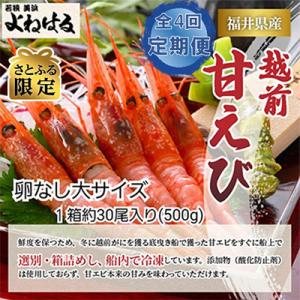 ふるさと納税 美浜町 【3ヵ月毎定期便】【さとふる限定】大好評!越前甘エビ【卵なし大サイズ】約30尾...