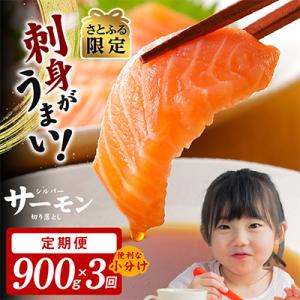 【毎月定期便】【さとふる限定】サーモン 切り落とし 総量2.7kg 900g×全3回