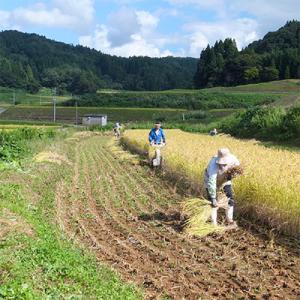 ふるさと納税 上越市 【毎月定期便】新潟県上越...の詳細画像1