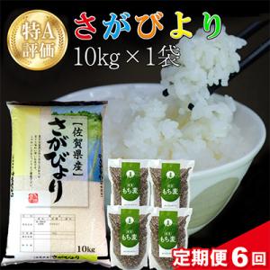 ふるさと納税 基山町 【毎月定期便】さがびより 10kg+もち麦 4袋全6回