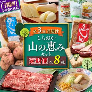 ふるさと納税 白糠町 【発送月固定定期便】<2024年8月以降順次発送開始>しらぬか山の恵みセット 全3回｜y-sf