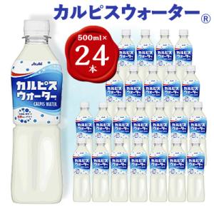 ふるさと納税 館林市 【2ヵ月毎定期便】『カルピスウォーター』PET500ml　24本　隔月全6回