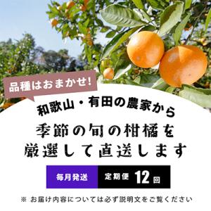 ふるさと納税 印南町 【発送月固定定期便】季節...の詳細画像1
