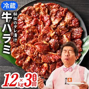 【毎月定期便】冷蔵配送 牛ハラミ肉 焼肉用 1.2kg(300g×4P)×全3回