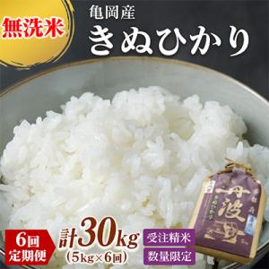 ふるさと納税 亀岡市 【毎月定期便】無洗米 京都丹波産 キヌヒカリ 5kg全6回