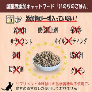 ふるさと納税 泉佐野市 【毎月定期便】国産 無...の詳細画像3