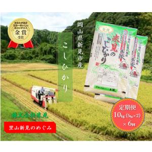 ふるさと納税 新見市 【毎月定期便】里山新見のめぐみ コシヒカリ(精米)　10kg(5kg×2)全6...