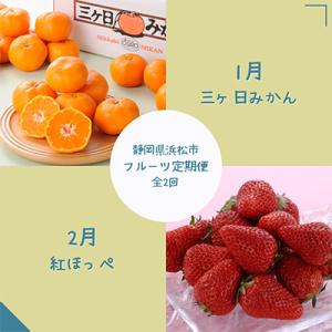 ふるさと納税 浜松市 【発送月固定定期便】静岡県浜松市のフルーツ定期便 全2回