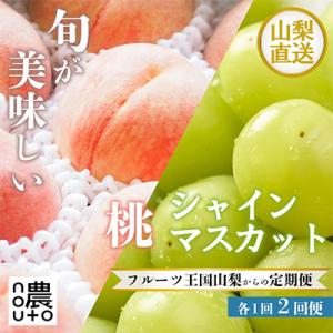 【発送月固定定期便】フルーツ定期便　シャインマスカット500g(1房)・桃1kg　山梨 笛吹 全2回