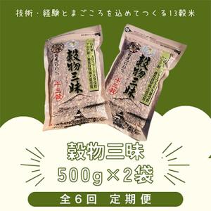 ふるさと納税 江北町 【毎月定期便】穀物三昧500g(2袋)全6回