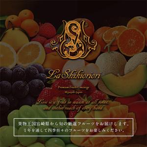 ふるさと納税 新富町 【発送月固定定期便】南国...の詳細画像1