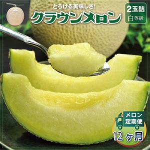 ふるさと納税 掛川市 【毎月定期便】クラウンメロン(白等級) 2玉 全12回