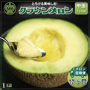 ふるさと納税 掛川市 【毎月定期便】クラウンメロン(白等級) 中玉1玉 全12回