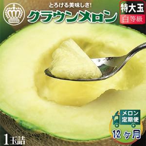 ふるさと納税 掛川市 【毎月定期便】クラウンメロン 白等級 特大 1玉 静岡県産 高級マスクメロン【1年中お届け】全12回