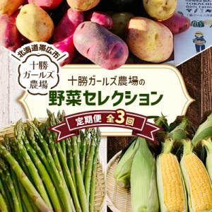 【発送月固定定期便】直送!【北海道の定番便】十勝ガールズ農場の野菜セレクション全3回