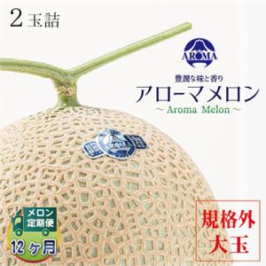 ふるさと納税 掛川市 【毎月定期便】アローマメロ...の商品画像