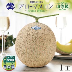ふるさと納税 掛川市 【毎月定期便】アローマメロン(山等級) 1玉 全6回