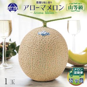 ふるさと納税 掛川市 【毎月定期便】アローマメロン(山等級) 1玉 全12回