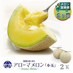 ふるさと納税 掛川市 【毎月定期便】アローマメロ...の商品画像