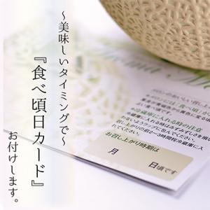 ふるさと納税 掛川市 【毎月定期便】アローマメ...の詳細画像3