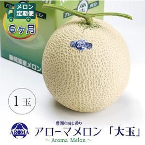 ふるさと納税 掛川市 【毎月定期便】アローマメロ...の商品画像