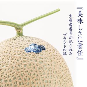 ふるさと納税 掛川市 【毎月定期便】アローマメ...の詳細画像1