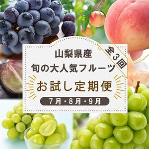 ふるさと納税 山梨市 【発送月固定定期便】山梨県産旬の大人気フルーツ【桃・巨峰・シャインマスカット】...