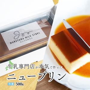 ふるさと納税 別海町 【毎月定期便】ニュープディング 500g×1本 別海町産生乳を贅沢に使用したこだわりプリン 全10回