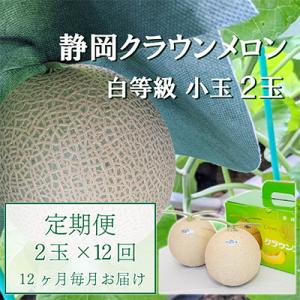ふるさと納税 袋井市 【毎月定期便】クラウンメロン白等級小玉(1.1kg前後)2玉入り 全12回