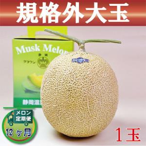 ふるさと納税 森町 【毎月定期便】クラウンメロン(規格外大玉) 1玉 全12回【森町SF】