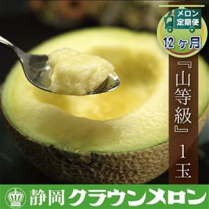 ふるさと納税 森町 【毎月定期便】クラウンメロン(山等級) 1玉 全12回【森町SF】
