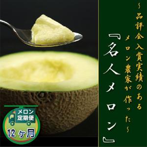 ふるさと納税 森町 【毎月定期便】クラウンメロン(名人メロン) 1玉 全12回【森町SF】