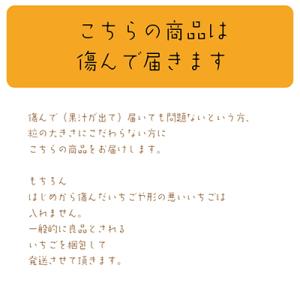ふるさと納税 上越市 【発送月固定定期便】【1...の詳細画像2