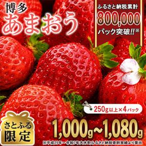 【さとふる限定】【2027年2月～順次発送】博多あまおういちご1000g以上(約250g×4パック)