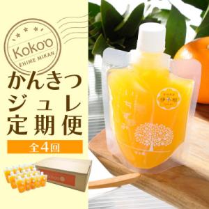 ふるさと納税 松山市 【発送月固定定期便】【年4回】かんきつジュレ定期便全4回