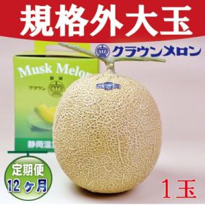ふるさと納税 浜松市 【毎月定期便】【規格外BIGサイズ!】クラウンメロン規格外大玉　1玉　全12回