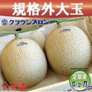 ふるさと納税 浜松市 【毎月定期便】【規格外BIGサイズ!】クラウンメロン規格外大玉　2玉詰　全6回