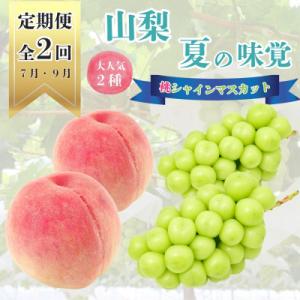 【発送月固定定期便】山梨夏の味覚定期便〈桃 約2kg/シャインマスカット 1.1kg以上〉全2回