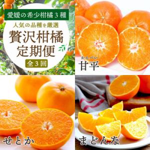 【発送月固定定期便】愛媛の柑橘3品種を厳選!まどんな・甘平・せとか柑橘定期便【G25-163】全3回