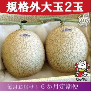 ふるさと納税 磐田市 【毎月定期便】【規格外BIGサイズ!】クラウンメロン規格外大玉1.7　2玉詰 全6回