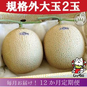 ふるさと納税 磐田市 【毎月定期便】【規格外BIGサイズ!】クラウンメロン規格外大玉1.7　2玉詰 全12回
