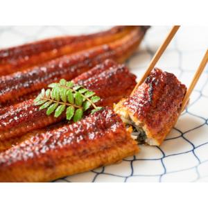 ふるさと納税 鹿屋市 【発送月固定定期便】大隅...の詳細画像1