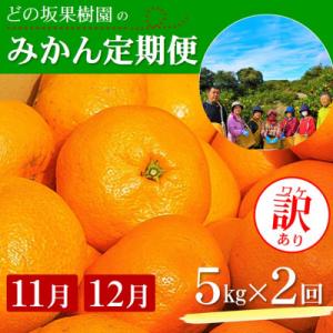 【発送月固定定期便】ご家庭用 2種のみかん定期便 (ゆら早生みかん・完熟みかん)各約5kg全2回