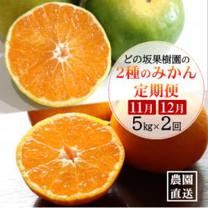 【発送月固定定期便】みかん好きのためのみかん定期便(ゆら早生みかん・完熟みかん)　各5kg　全2回