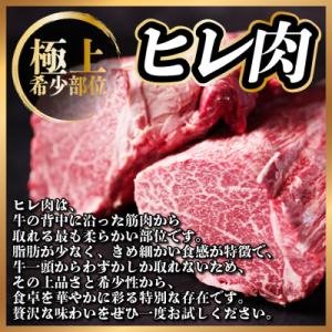 ふるさと納税 羽島市 【毎月定期便】飛騨牛 ヒ...の詳細画像1