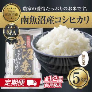 ふるさと納税 南魚沼市 【毎月定期便】無洗米 南魚沼産 コシヒカリ 精米 5kg(美味しい炊き方ガイド付き)全12回